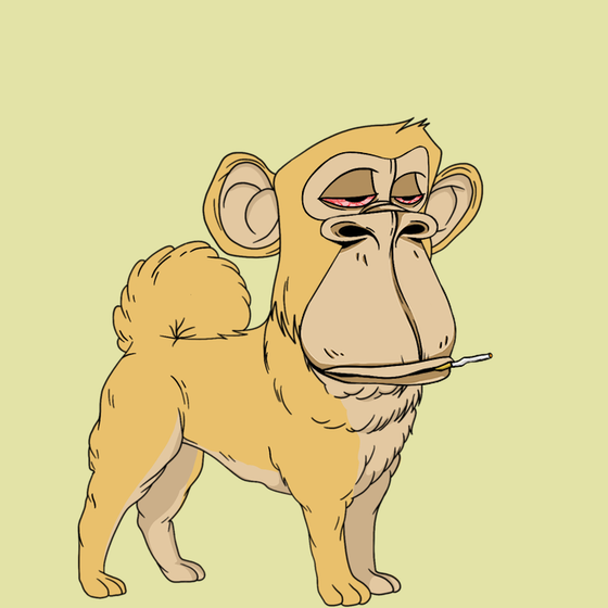 Kennel Ape #2764