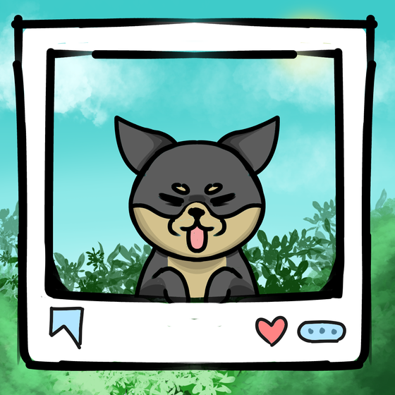 旅する犬 #31