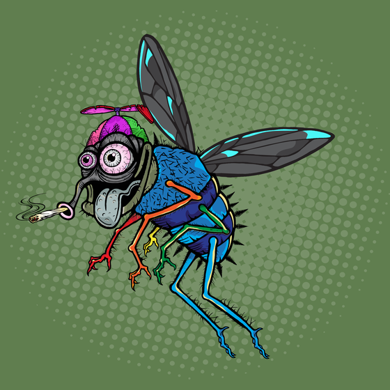 Funky Fly #7579