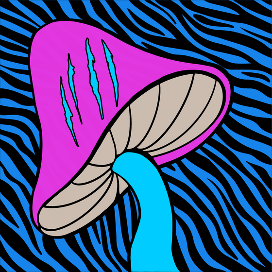 Magic Mushroom #895