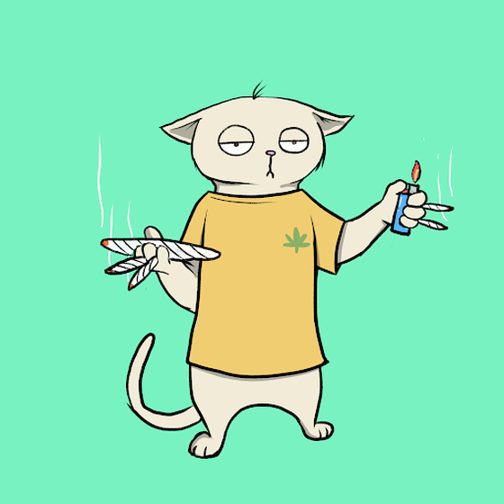 Blazed Cat #9381