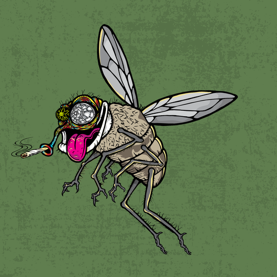 Funky Fly #2651