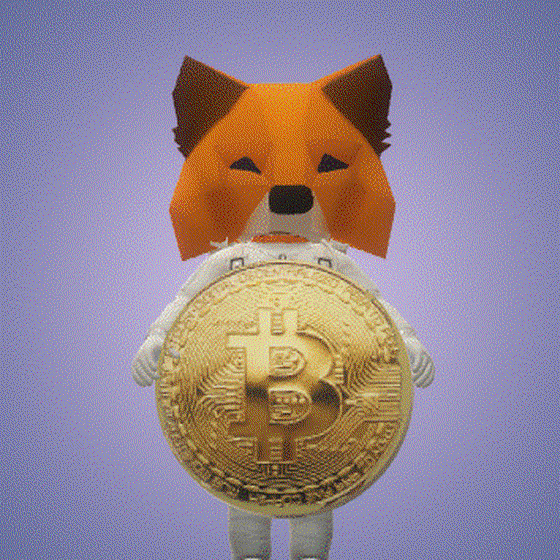 MetaNaut Bitcoin