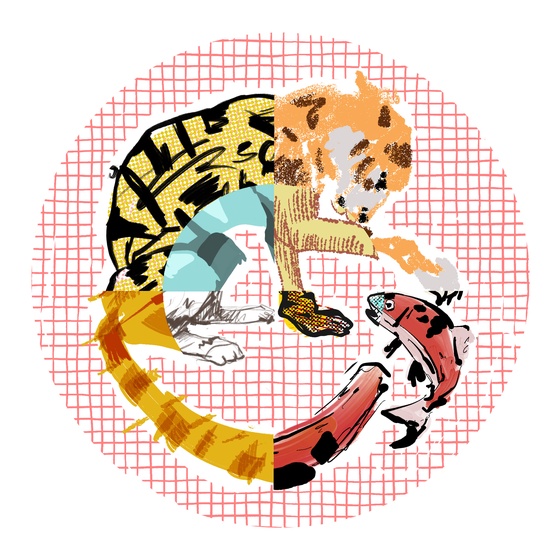 The Tiger & The Fish #45
