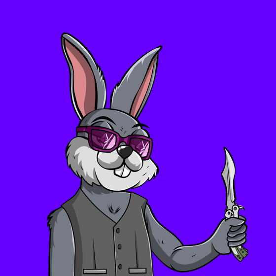 Notorious Rabbit #505