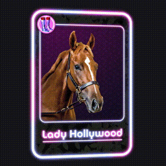 Lady Hollywood Jockey Club #18