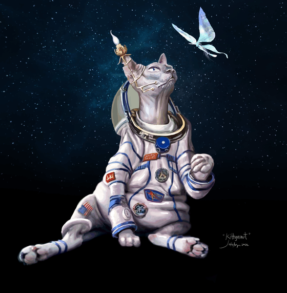 Kitty-naut