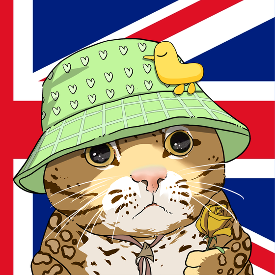 Puzzled cat #7573