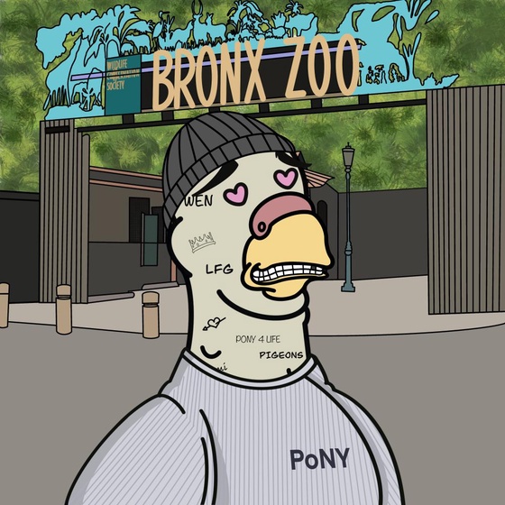 Pigeon #471
