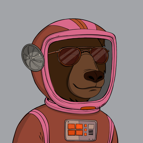 Okay Space Bear #3042