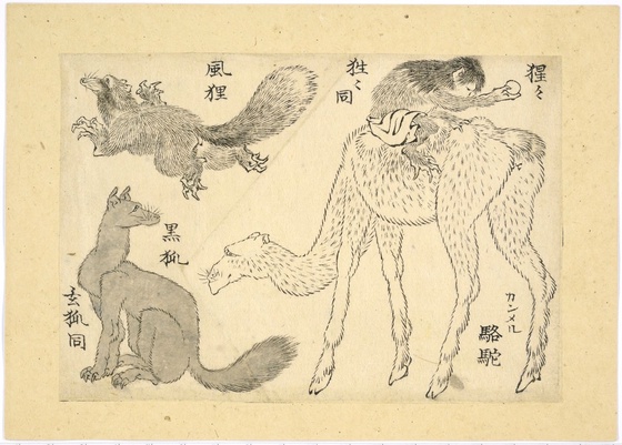 "Shojo on a camel, a flying tanuki and a black fox, from the series Illustrations for the Great Picture Book of Everything"