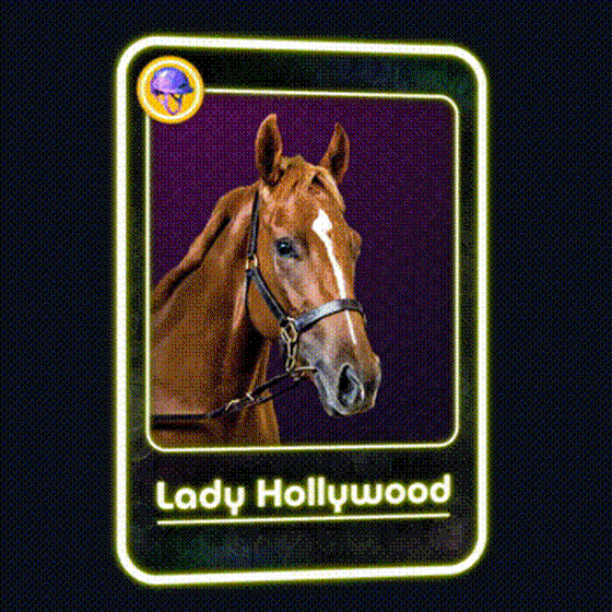 Lady Hollywood Jockey Club #2