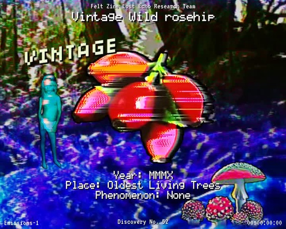 #52 | Vintage Wild rosehip