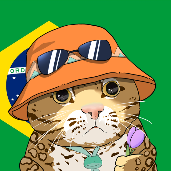 Puzzled cat #8102