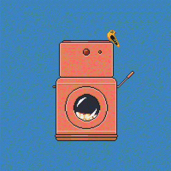 Crypto Washer #13