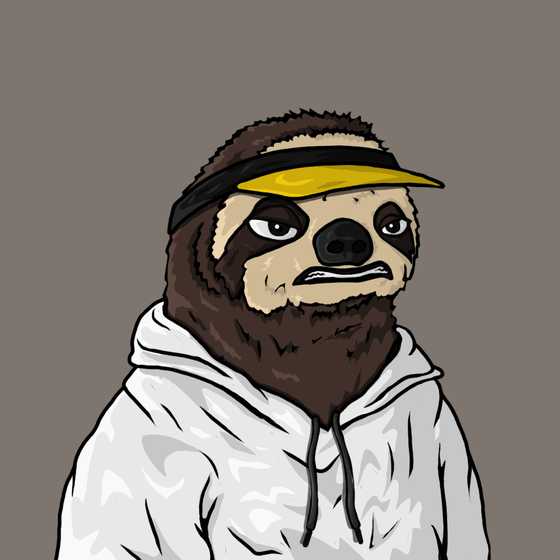 Sammy Sloth Amazon Rainforest Project #354