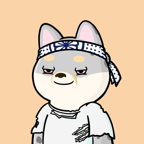 Shibe #4523
