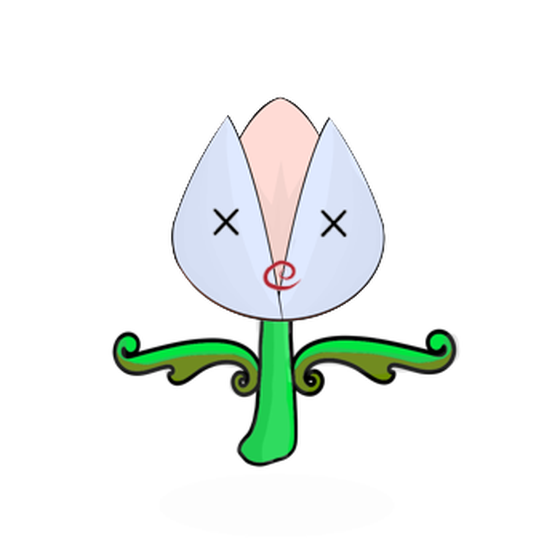 Tulipa dinormieus