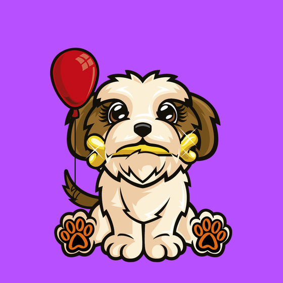 Shih Tzu 0254