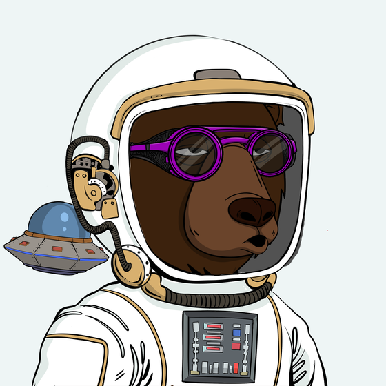 Okay Space Bear #1402