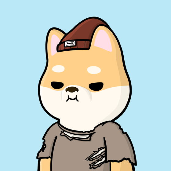 Shibe #2079