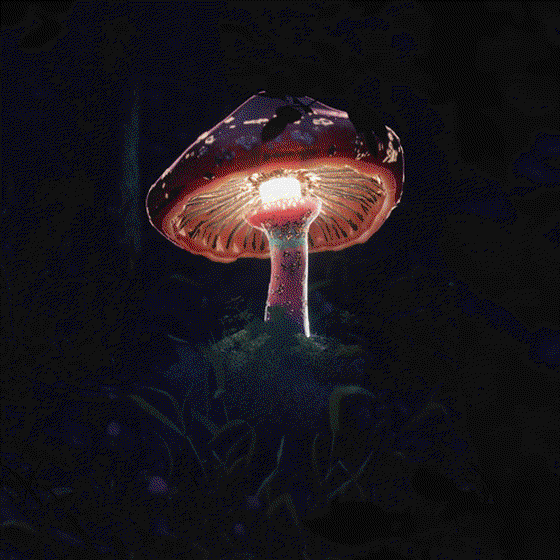 Non-fungible FUNGI_014