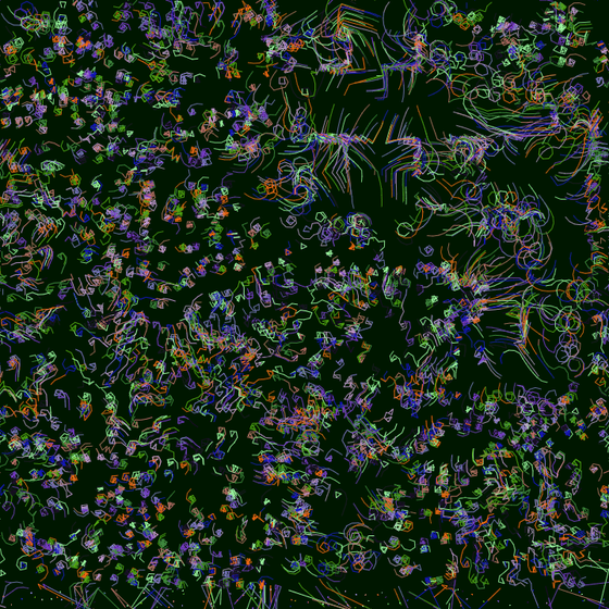 Distorted Partices #58