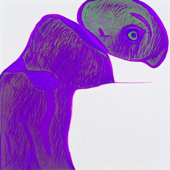 chimpanzee