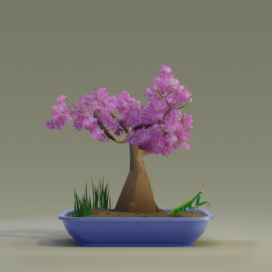 Bonsai #8708