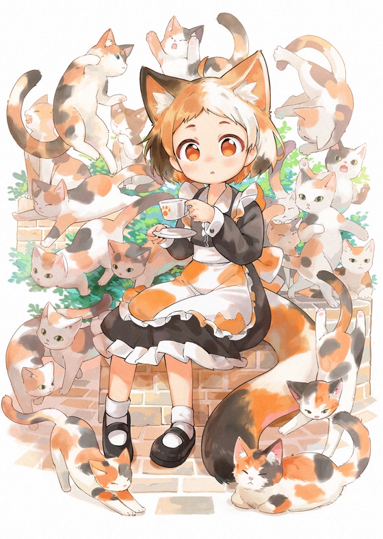 Calico cats