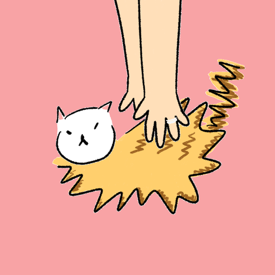 #4971 Hashimoto Cat