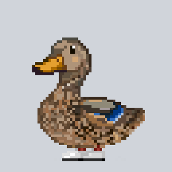 Mallard #4263