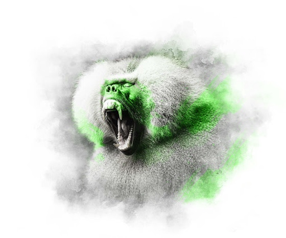 LIME SERIES - BABOON