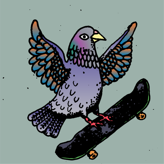 Hood Pigeon #1164