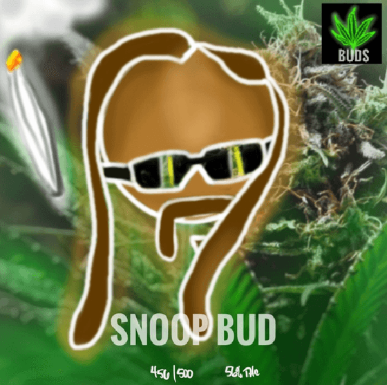 #456 SNOOP BUD