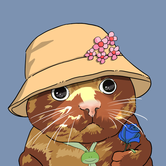 Puzzled cat #6868