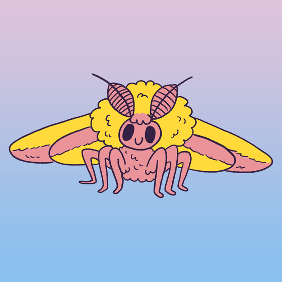 Rosy Maple Moth #1945