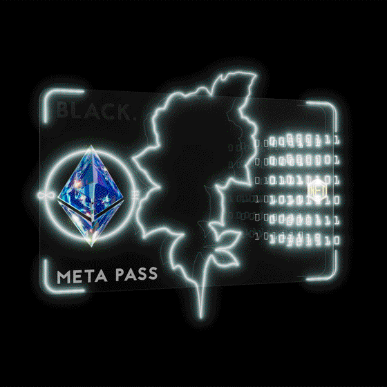 BLACK ORGVSM Meta-Pass #525