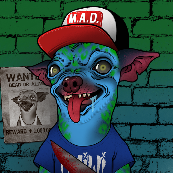 Mad Chihuahua #1078