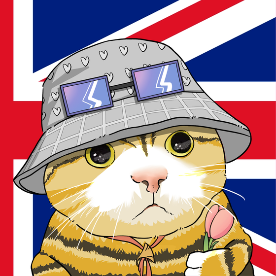 Puzzled cat #3678