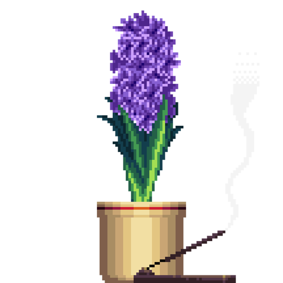 Purple Hyacinth in Large Pinstripe pot with Incense