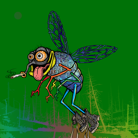 Funky Fly #5216