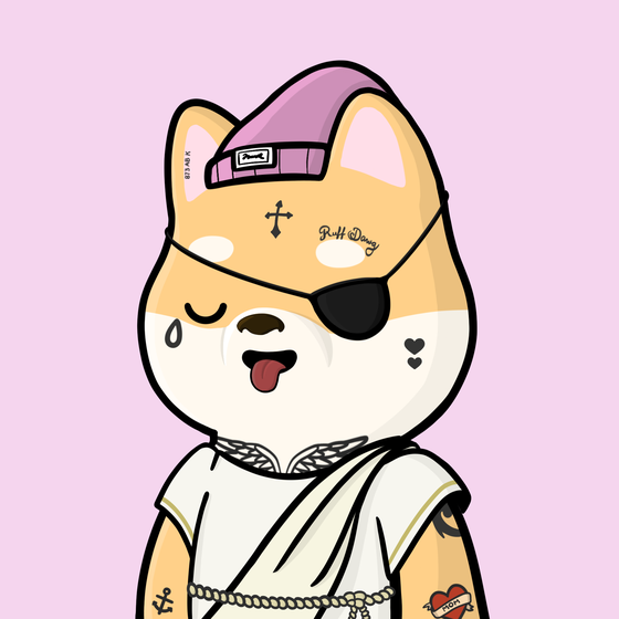 Shibe #500