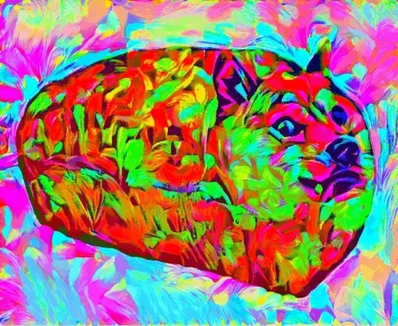 Trippy Doge Bread