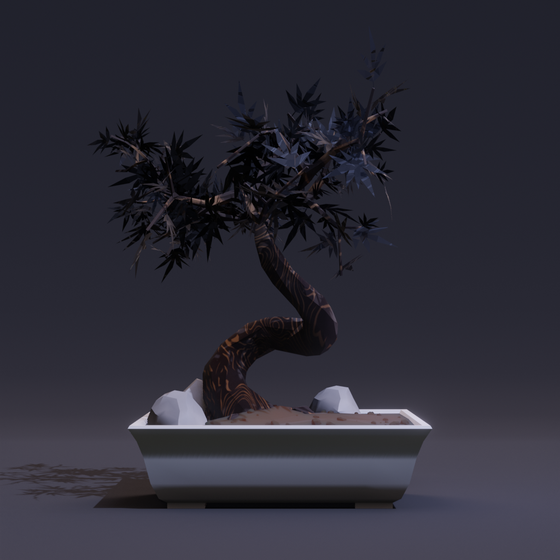 Bonsai #3675