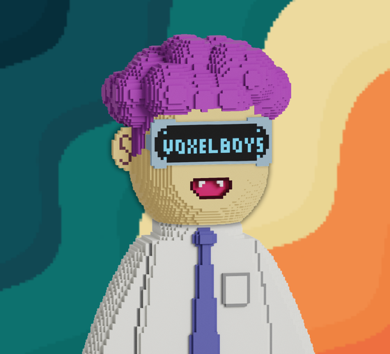 Voxel Boys #16