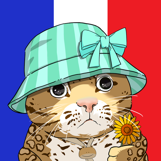 Puzzled cat #6107