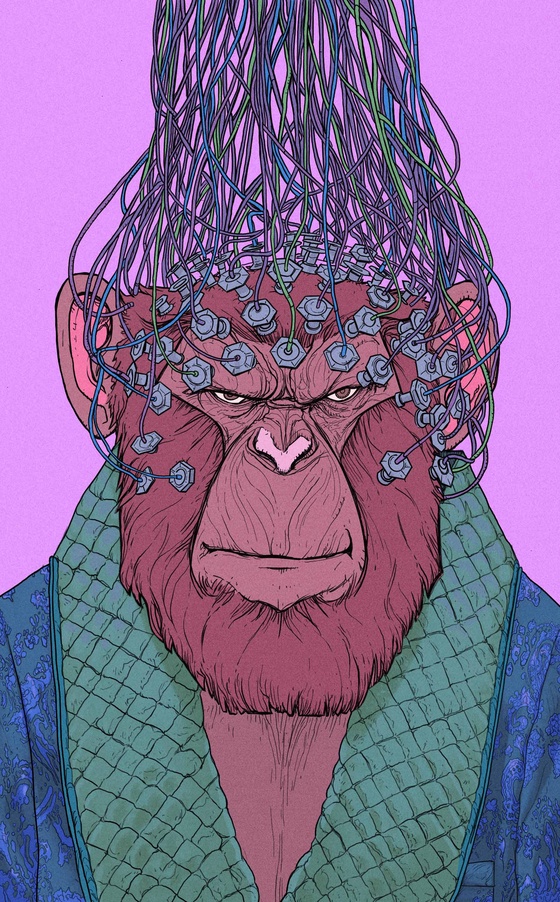S1MI4N - s1mi4n-A01116