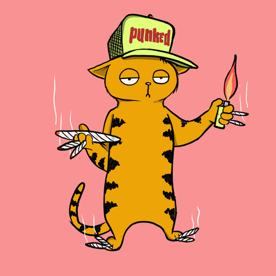 Blazed Cat #6619