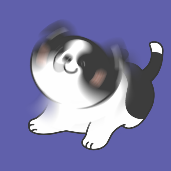 DogDrill#644